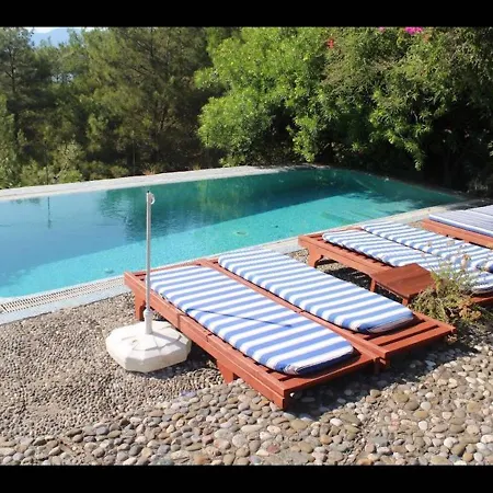 招待所 In Bb - Big Double Natural Conservation Area, Boutique With Pool *